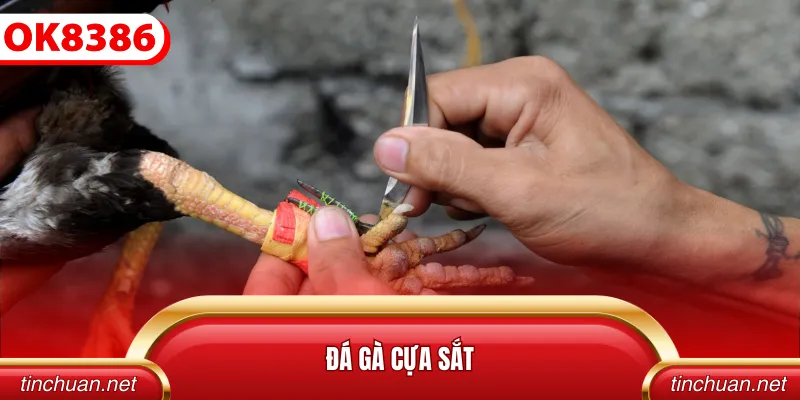 Đá Gà Cựa Sắt