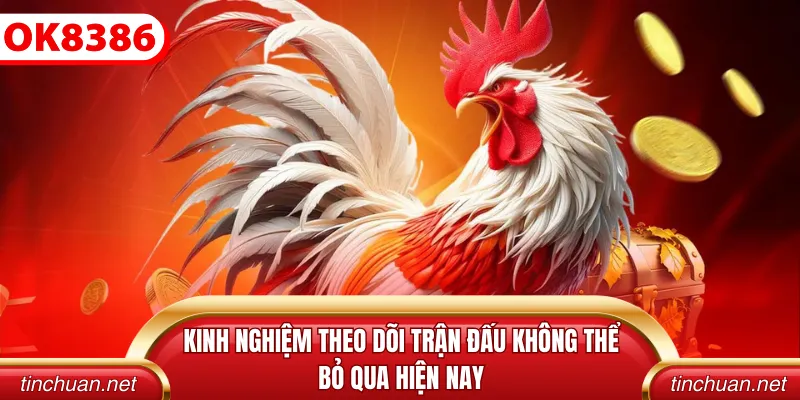 Theo dõi những trận tranh tài mãn nhãn trên OK8386